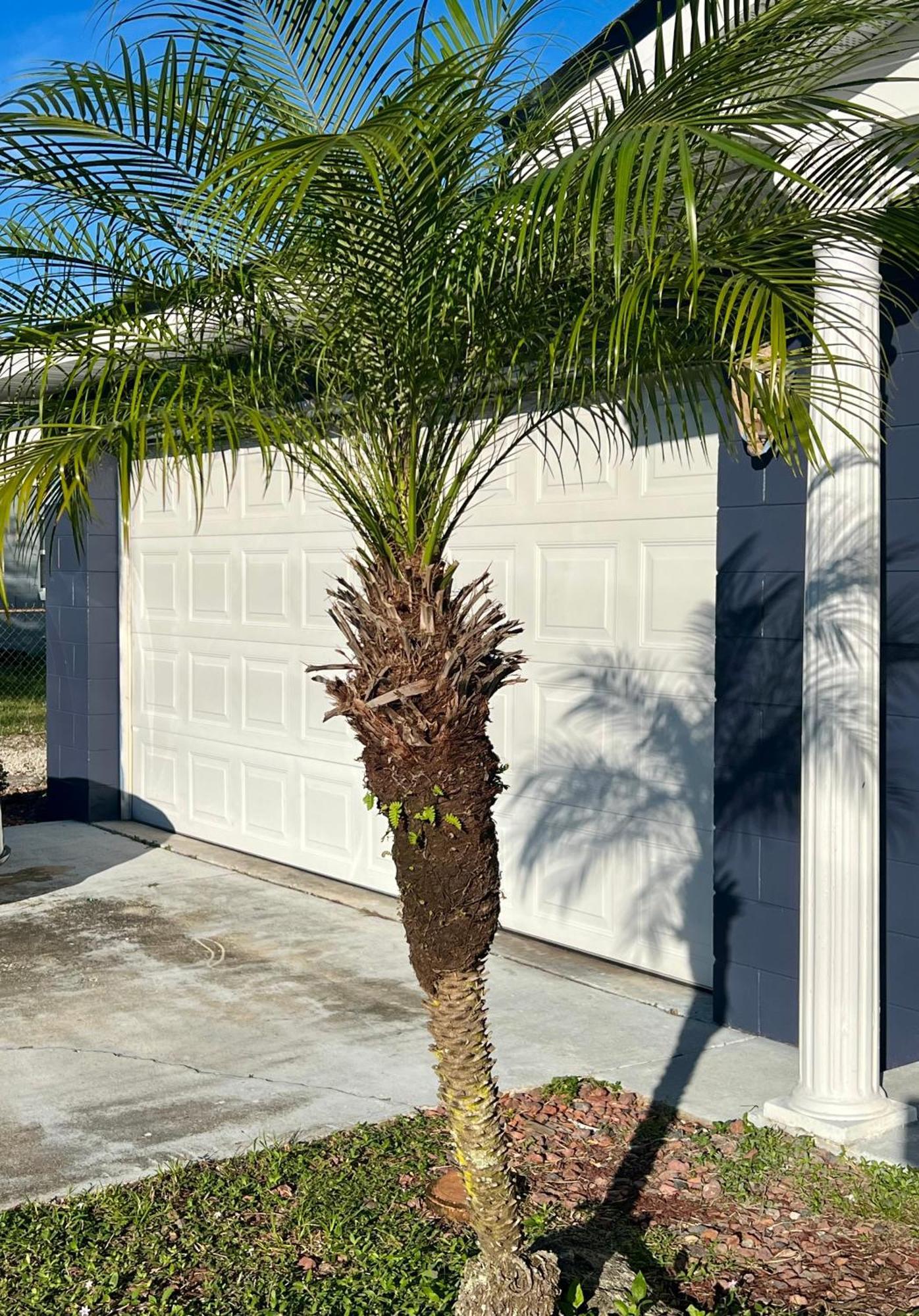 Pool House Oasis Villa Titusville Luaran gambar